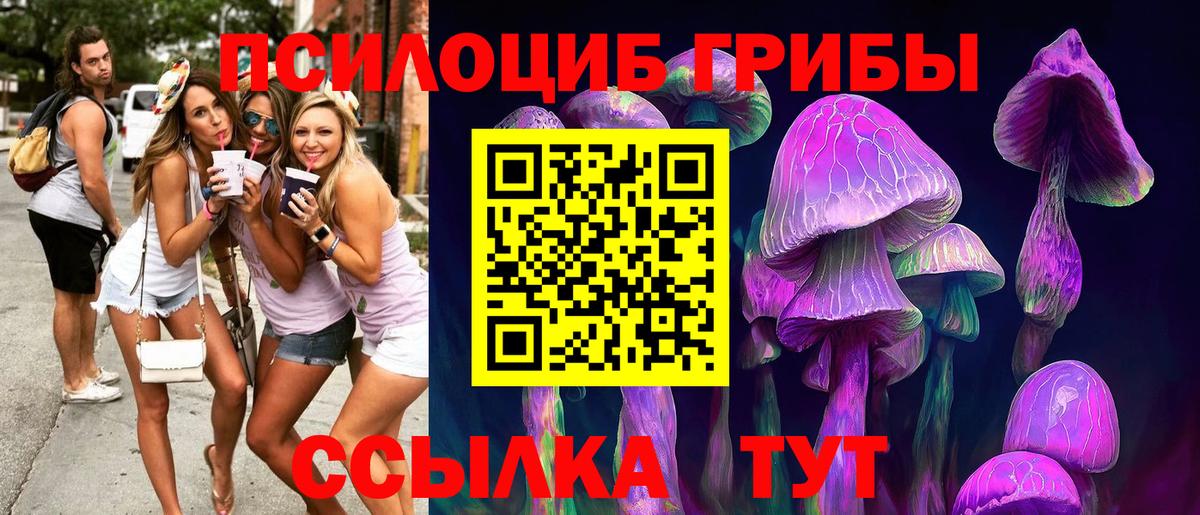 Галлюциногенные грибы Psilocybe Миасс